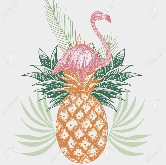 Meet your Posher, Ollie - Picture 1 of 1